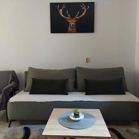 Apartman Rita Perusic エクステリア 写真